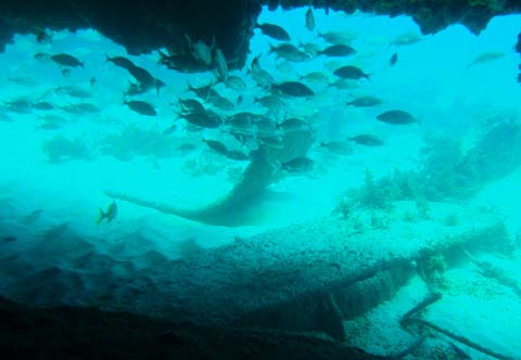 21 Palms B&B Las Galeras Samana
