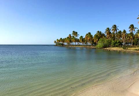 21 Palms B&B Las Galeras Samana